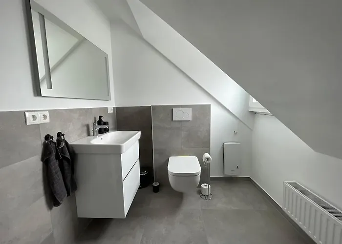 Gemuetliche Sanierte Mit Klimaanlage * Koblenz (Rhineland-Palatinate)